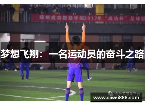 梦想飞翔：一名运动员的奋斗之路